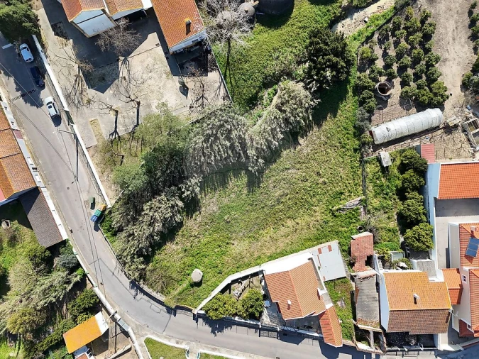 Terreno para Venda em Alpiarça Foto 5