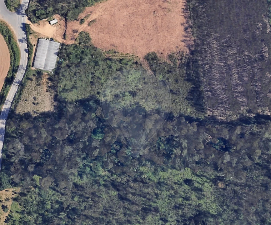 Terreno para Venda em São Miguel do Souto e Mosteirô Foto 4