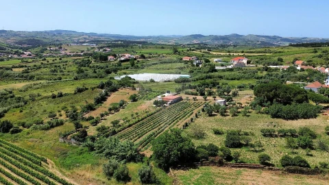 Terreno para Venda em Carvoeira e Carmões