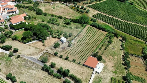 Terreno para Venda em Carvoeira e Carmões