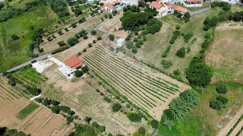 Terreno para Venda em Carvoeira e Carmões