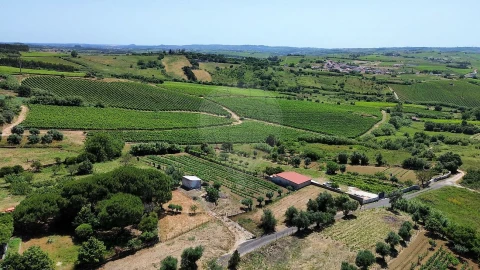 Terreno para Venda em Carvoeira e Carmões