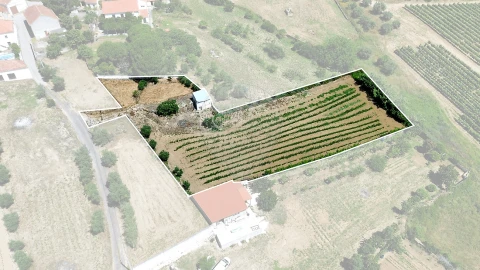 Terreno para Venda em Carvoeira e Carmões