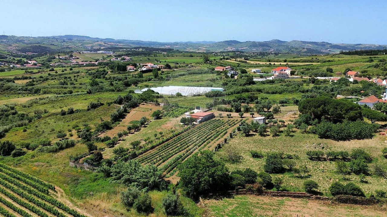 Terreno para Venda em Carvoeira e Carmões Foto 8