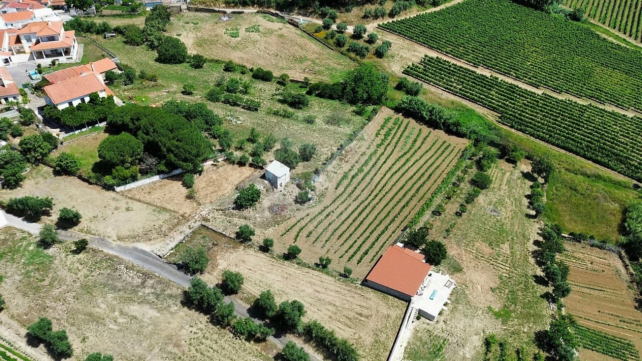 Terreno para Venda em Carvoeira e Carmões Foto 2