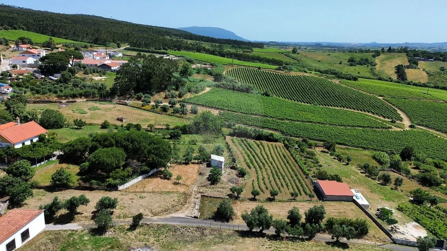 Terreno para Venda em Carvoeira e Carmões Foto 4
