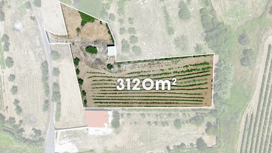 Terreno para Venda em Carvoeira e Carmões Foto 9