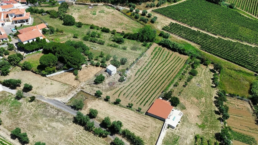 Terreno para Venda em Carvoeira e Carmões Foto 2