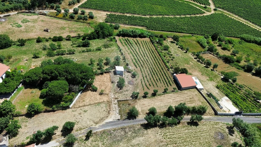 Terreno para Venda em Carvoeira e Carmões Foto 5