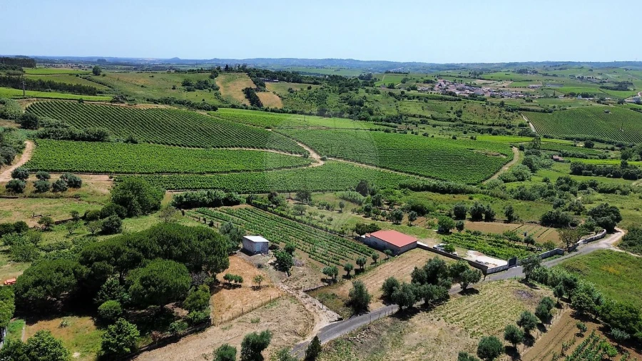 Terreno para Venda em Carvoeira e Carmões