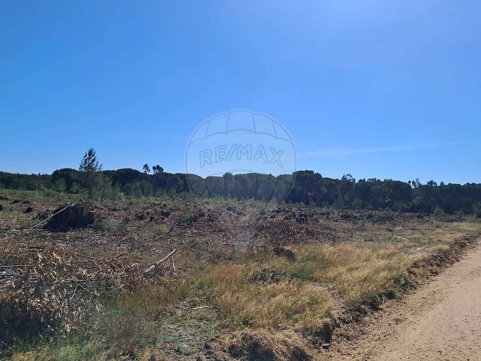 Terreno para Venda em Poceirão e Marateca Foto 9