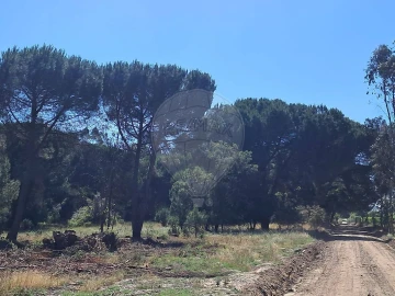 Terreno para Venda em Poceirão e Marateca