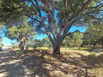Terreno para Venda em Poceirão e Marateca