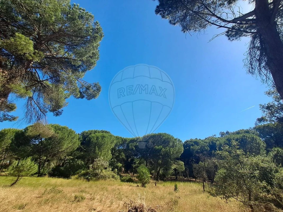 Terreno para Venda em Poceirão e Marateca Foto 3
