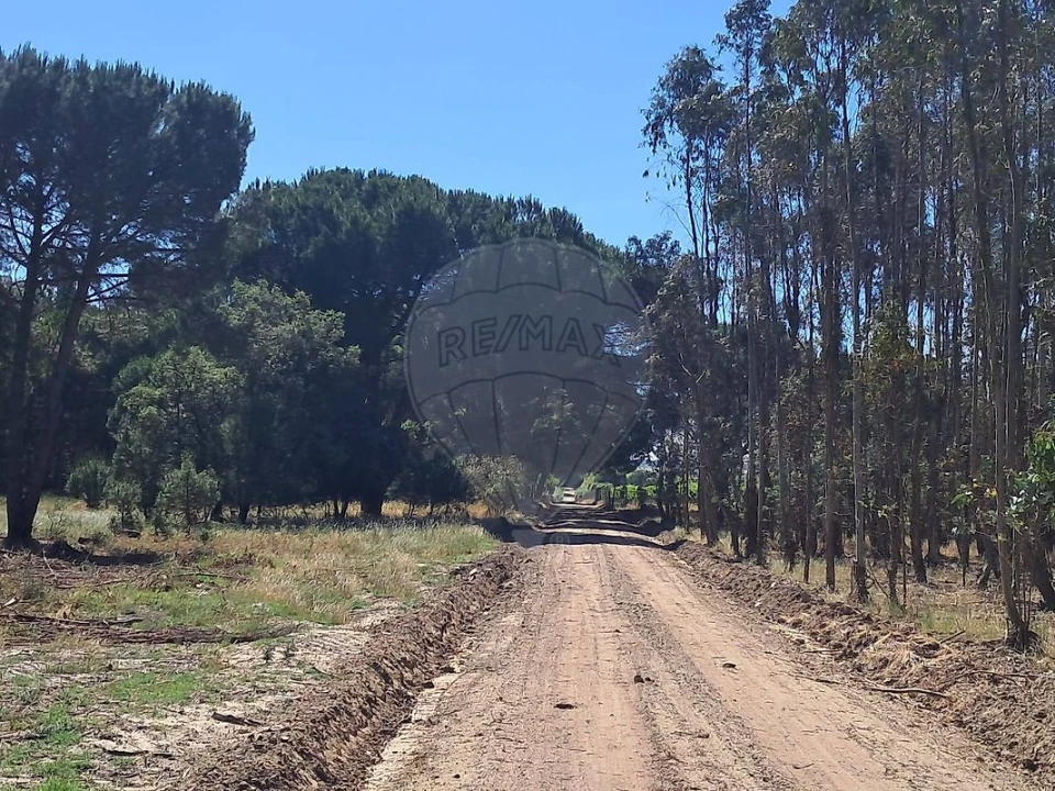 Terreno para Venda em Poceirão e Marateca Foto 7