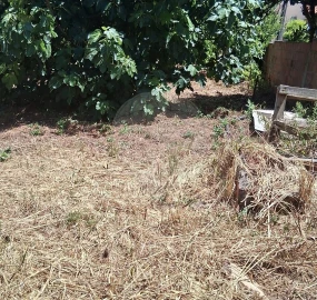 Terreno para Venda em Cacém e São Marcos