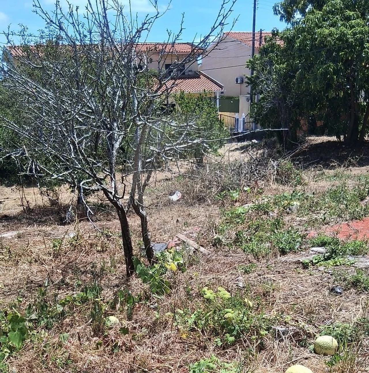 Terreno para Venda em Cacém e São Marcos Foto 3
