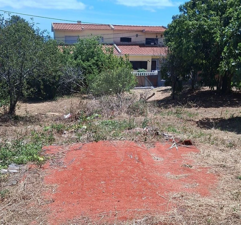 Terreno para Venda em Cacém e São Marcos Foto 4