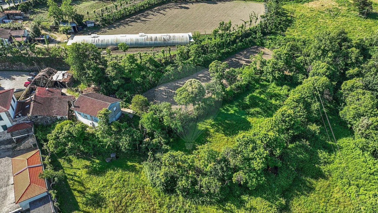 Moradia T7 para Venda em Este (São Pedro e São Mamede) Foto 7