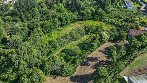 Moradia T7 para Venda em Este (São Pedro e São Mamede)