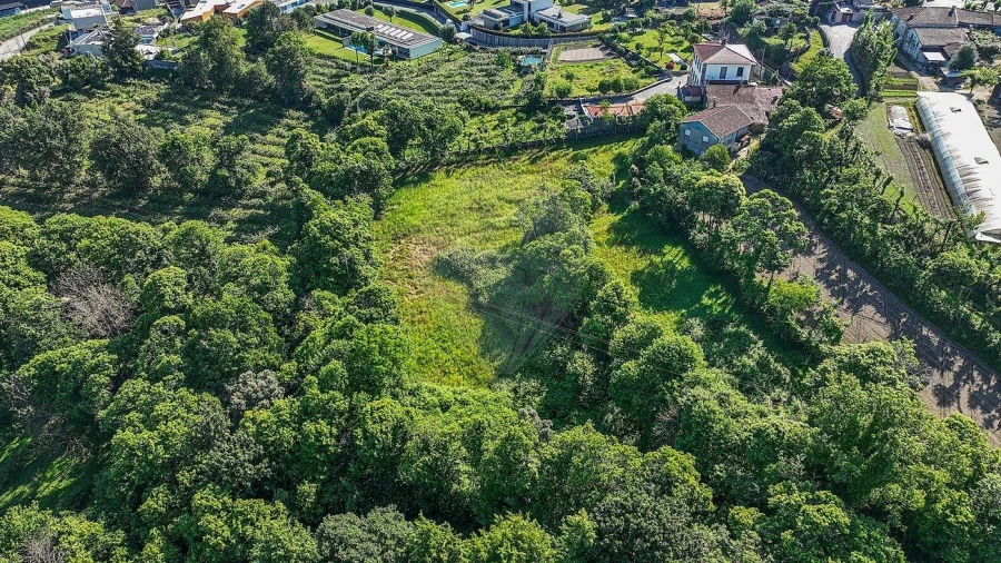Moradia T7 para Venda em Este (São Pedro e São Mamede) Foto 6