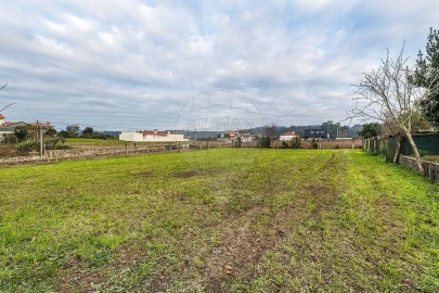 Moradia T4 para Venda em Pereira