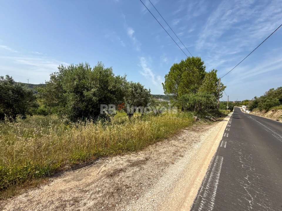 Terreno Agricola ou Rústico para Venda em Chancelaria Foto 4