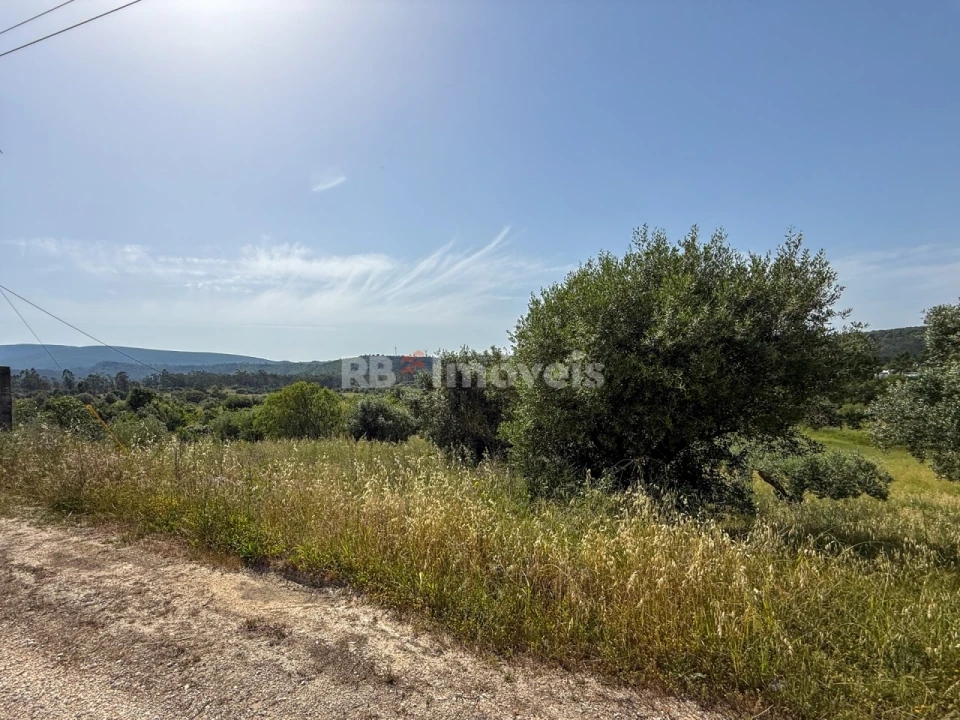 Terreno Agricola ou Rústico para Venda em Chancelaria Foto 8