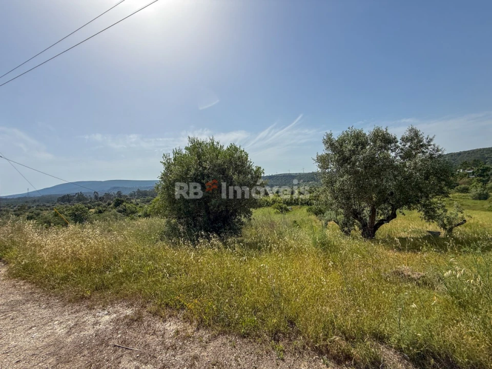 Terreno Agricola ou Rústico para Venda em Chancelaria Foto 11