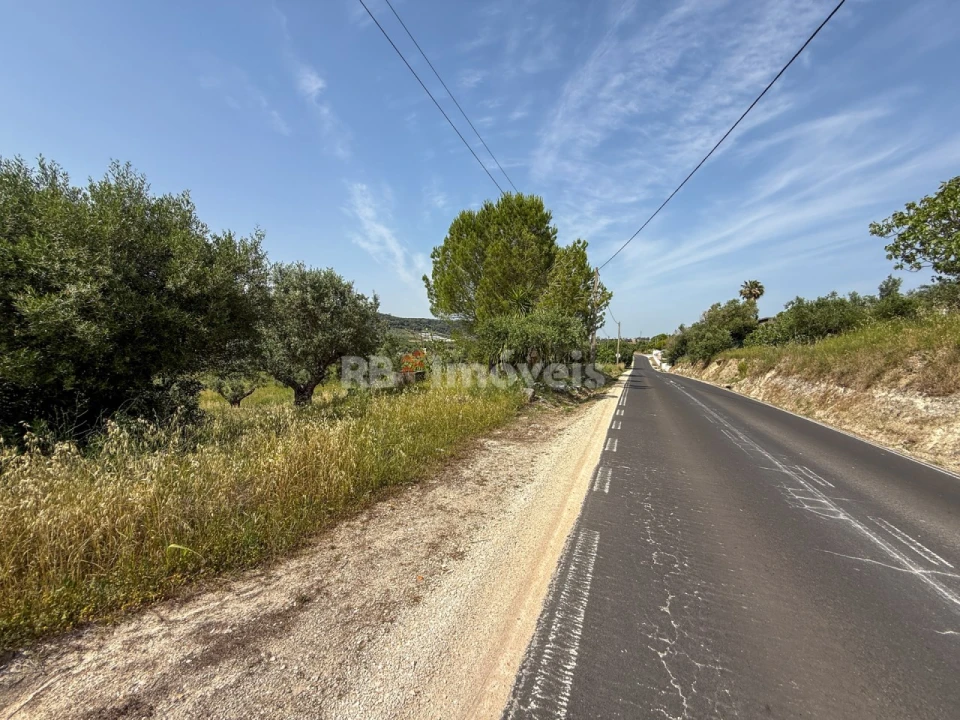 Terreno Agricola ou Rústico para Venda em Chancelaria Foto 13