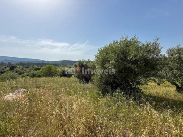 Terreno Agricola ou Rústico para Venda em Chancelaria