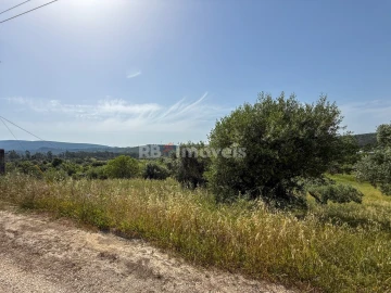 Terreno Agricola ou Rústico para Venda em Chancelaria