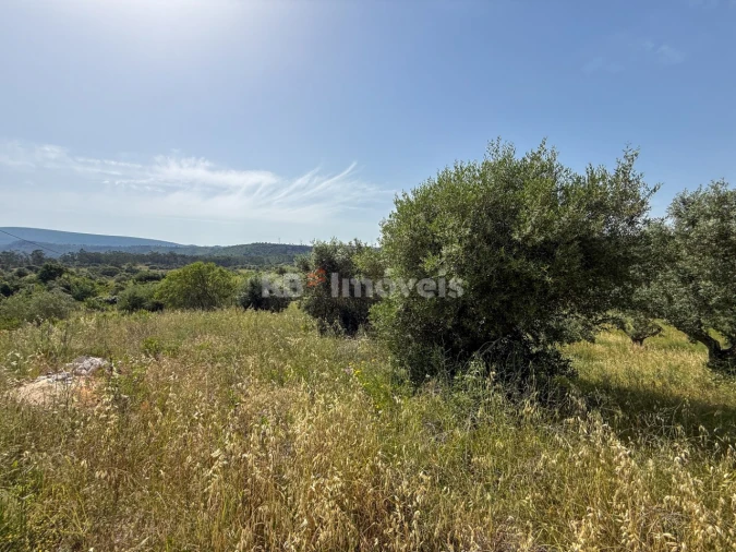 Terreno Agricola ou Rústico para Venda em Chancelaria Foto 7