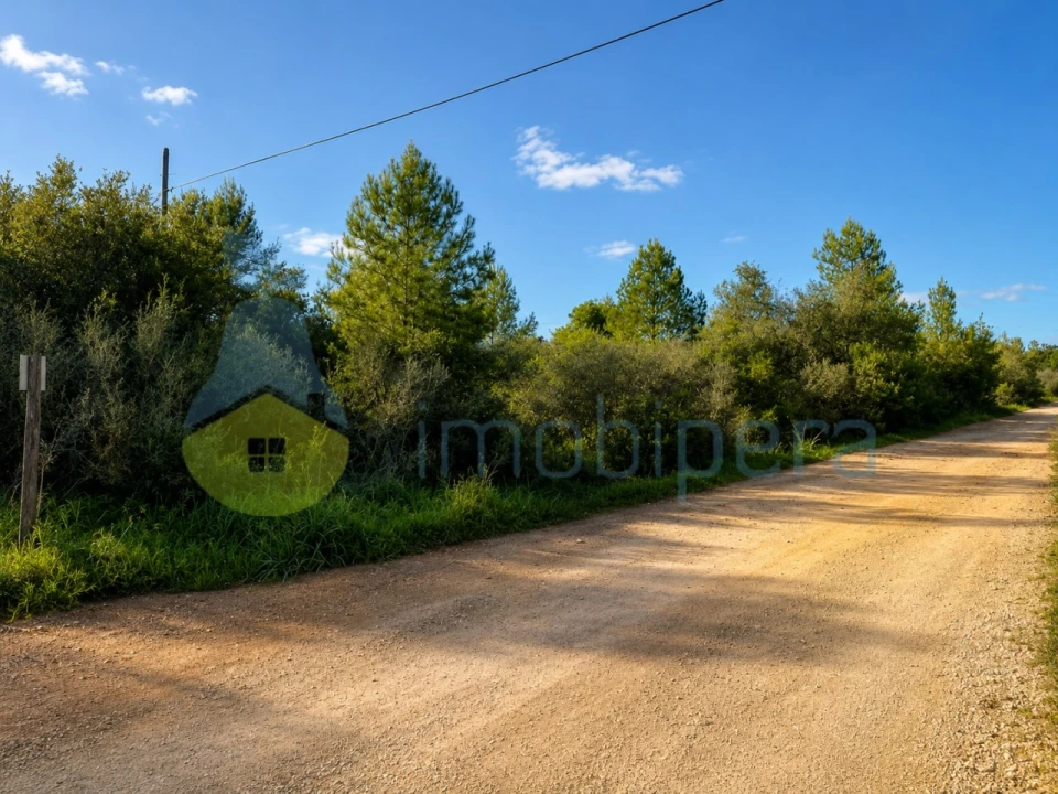 Terreno para Venda em Algoz e Tunes Foto 2