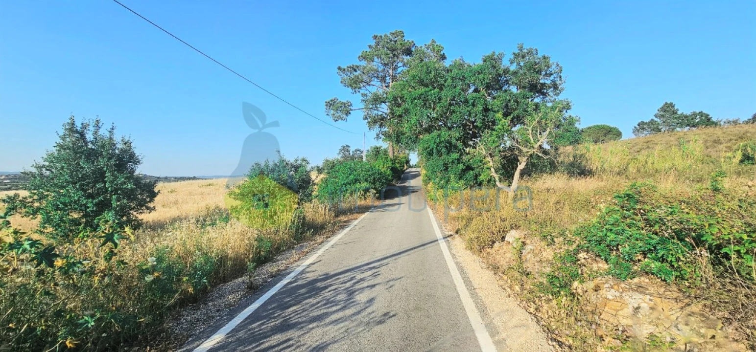 Terreno para Venda em Alcantarilha e Pêra Foto 6
