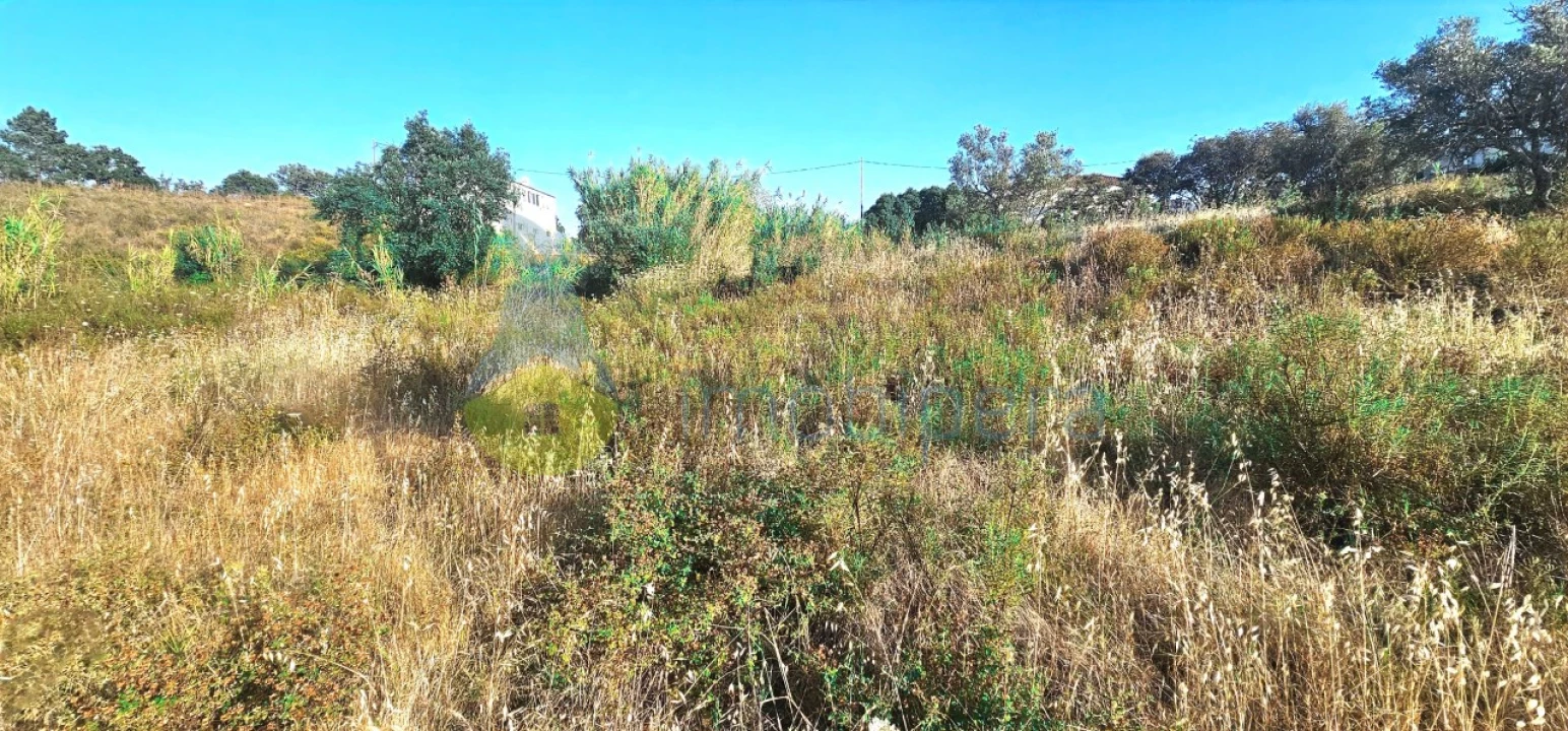 Terreno para Venda em Alcantarilha e Pêra Foto 1