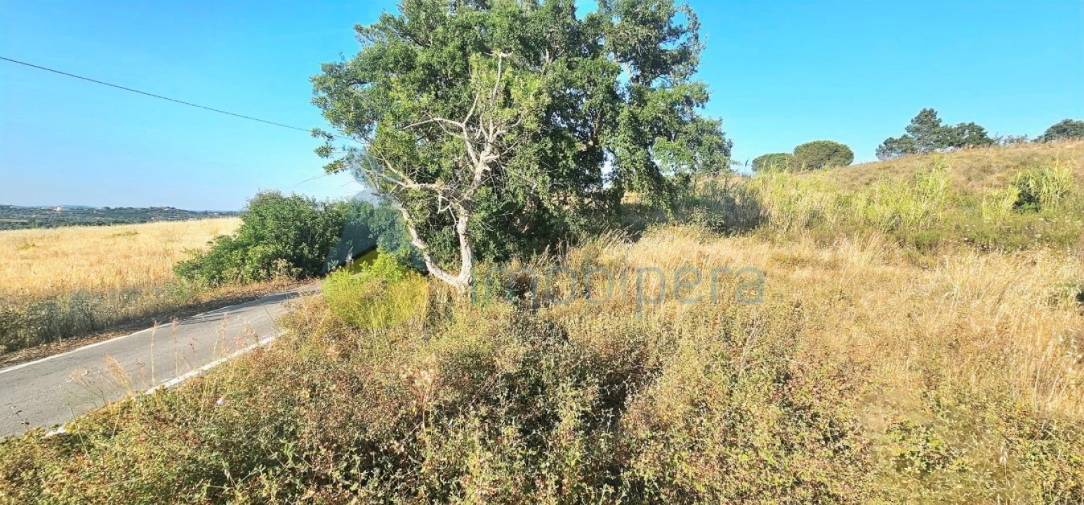 Terreno para Venda em Alcantarilha e Pêra Foto 9