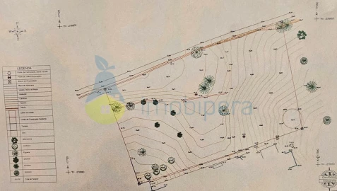 Terreno para Venda em Alcantarilha e Pêra