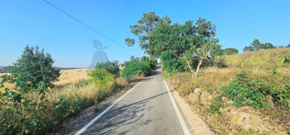 Terreno para Venda em Alcantarilha e Pêra