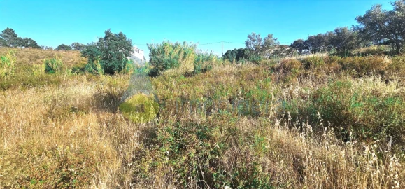 Terreno para Venda em Alcantarilha e Pêra