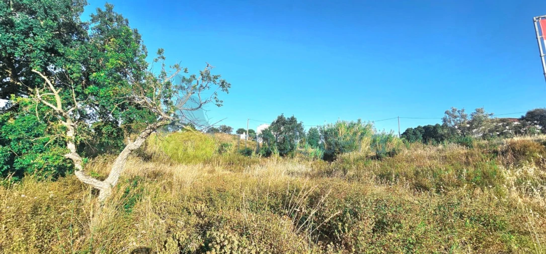 Terreno para Venda em Alcantarilha e Pêra Foto 7