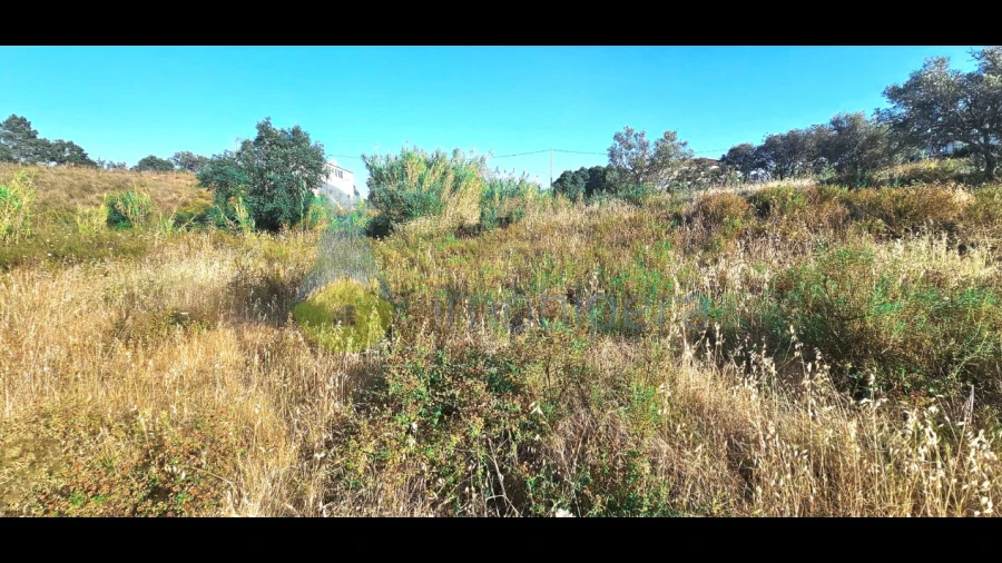 Terreno para Venda em Alcantarilha e Pêra