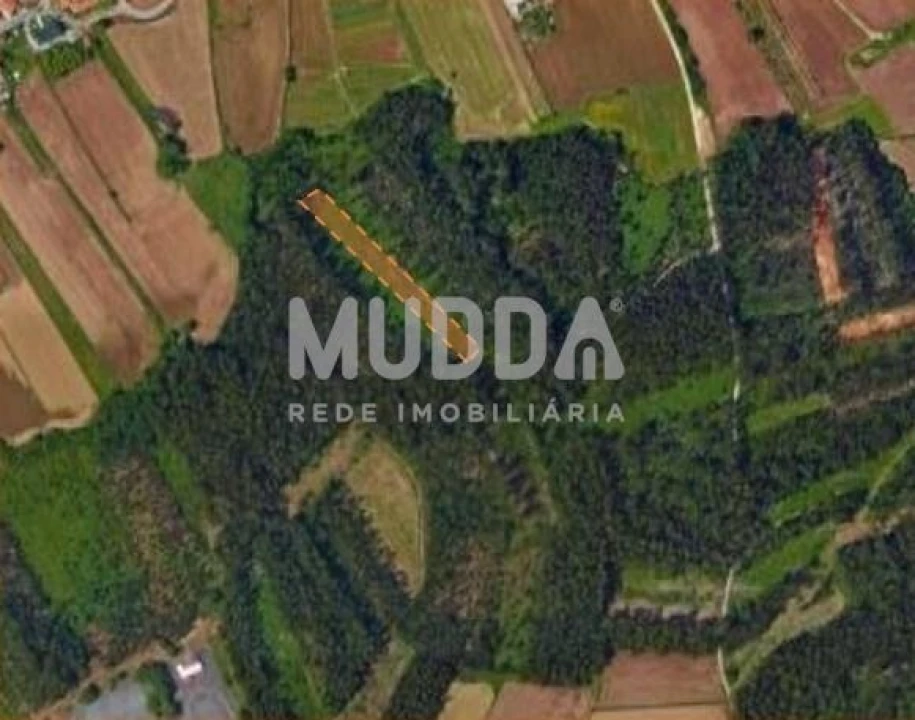 Terreno para Venda em Valega Foto 1