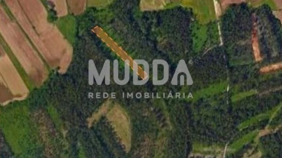 Terreno para Venda em Valega