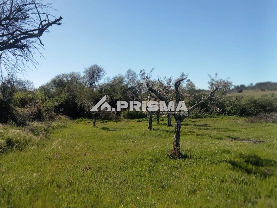 Quinta T2 para Venda em Tinalhas Foto 3