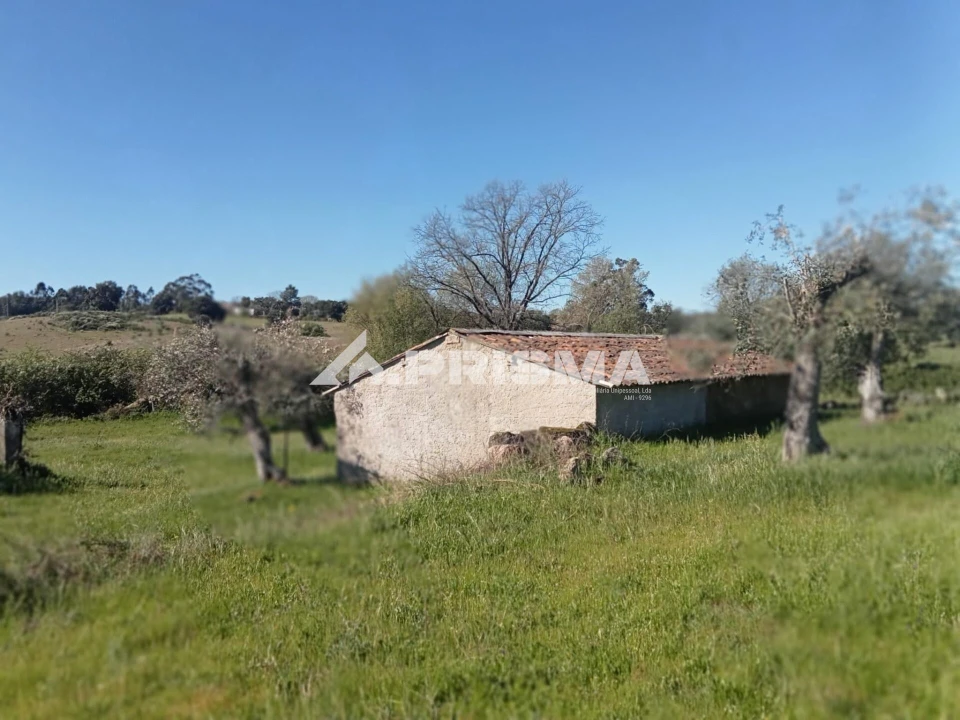 Quinta T2 para Venda em Tinalhas Foto 10