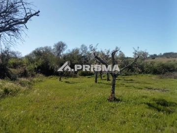 Quinta T2 para Venda em Tinalhas
