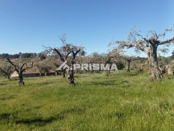 Quinta T2 para Venda em Tinalhas