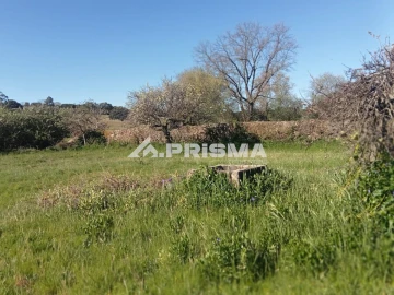 Quinta T2 para Venda em Tinalhas