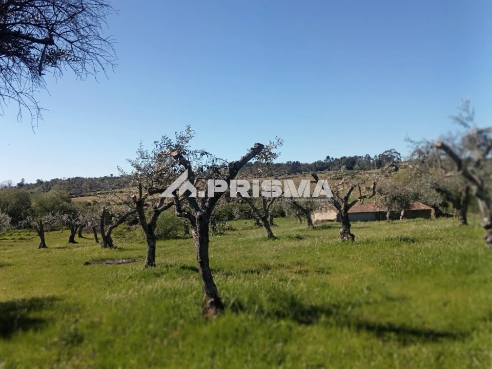 Quinta T2 para Venda em Tinalhas Foto 14